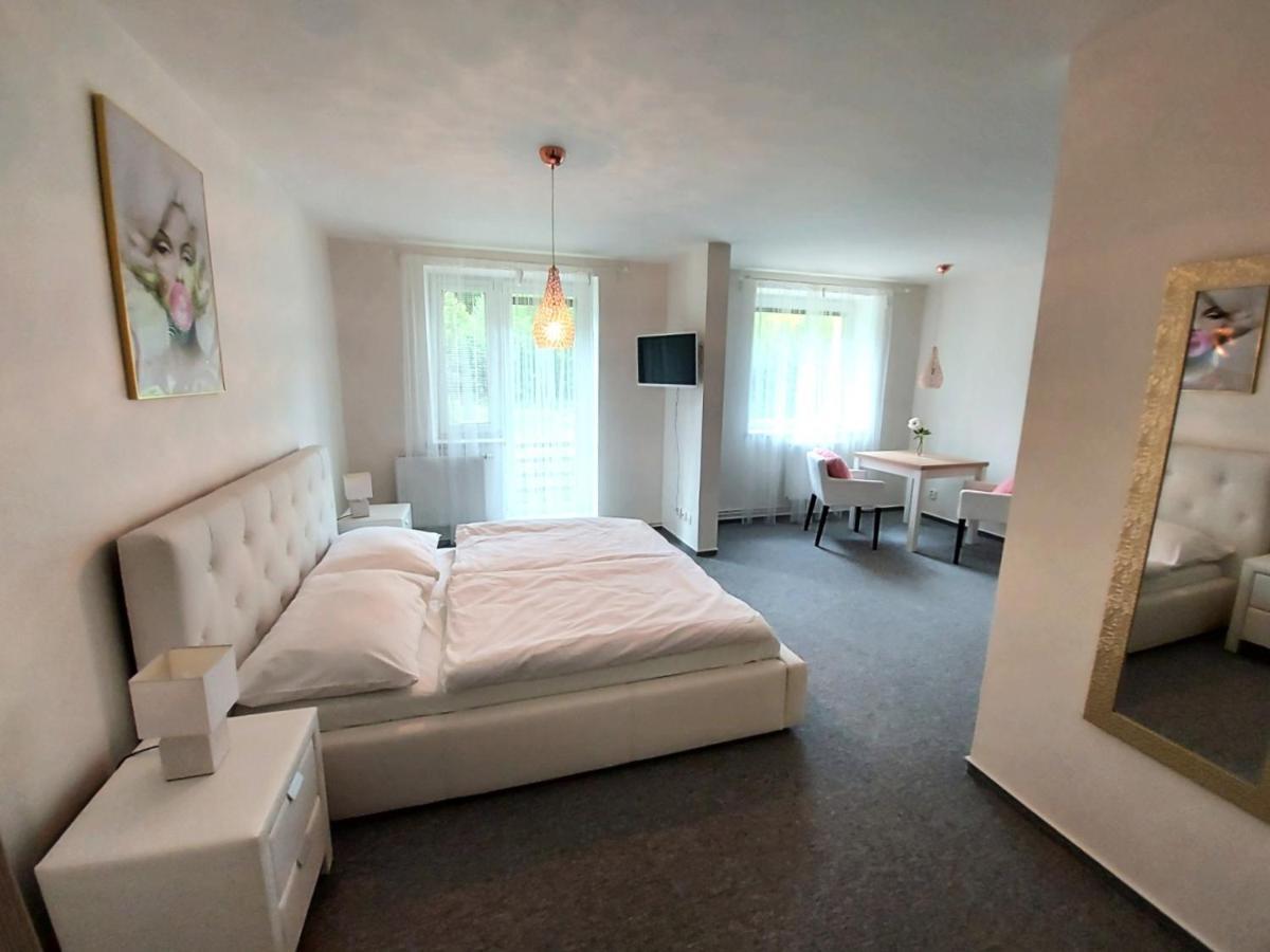 The Meetinka Apartments Jeseník Dış mekan fotoğraf